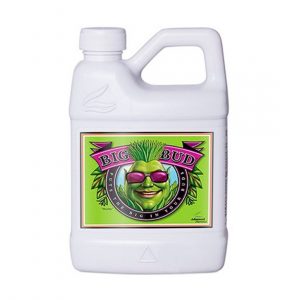 Big Bud 250 ml – Advanced Nutrients