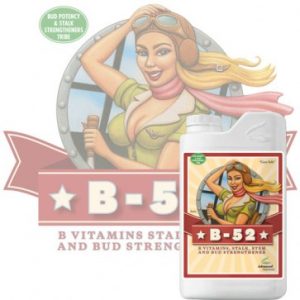 B-52 1L – Advanced Nutrients
