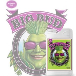 Big Bud 1 lt – Advanced Nutrients