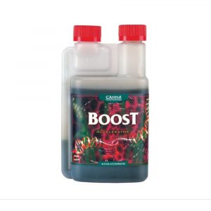 Boost Accelerator 1lt - Canna