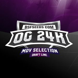 OG 24K X12 - BSF Seeds