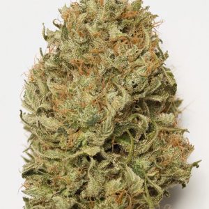 BLUE DREAM AUTO X3 - HUMBOLDT SEEDS