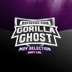 Gorilla Ghost X12 - BSF Seeds