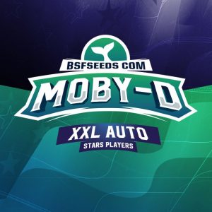 Moby-D XXL Auto x4 – BSF Seeds