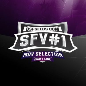 SFV #1 x12 - BSF Seeds