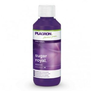 SUGAR ROYAL 500 ML – PLAGRON