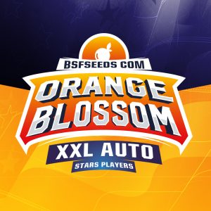 Orange Blossom XXL Auto x12 - BSF Seeds