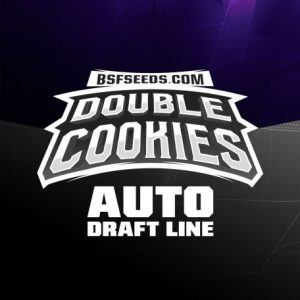 Double Cookies Auto x7 - BSF Seeds