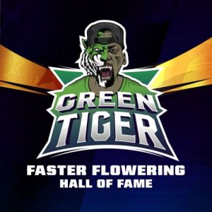 Green Tiger x7 - BSF Seeds