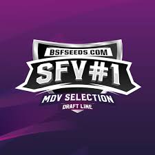 Sfv #1 x7 - BSF
