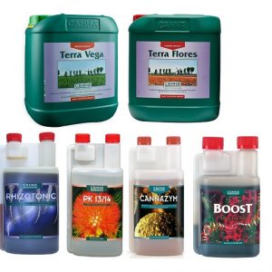 Canna Línea Completa XL
