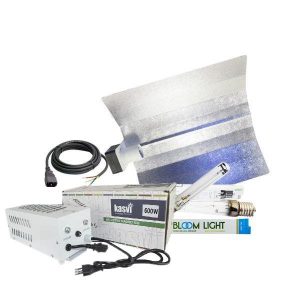 Kit Iluminación 600w Sodio