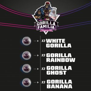 Mix Gorilla Familia x12 - BSF