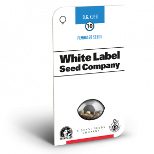 OG Kush x4 - White Label - Sensi Seeds