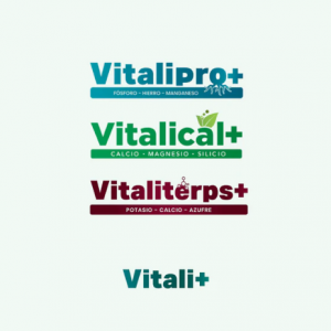 Try pack Vitali+ 60g