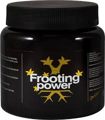 Frooting Power 325 gr. - BAC