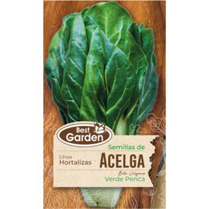 Semilla Acelga 5 grs - Best Garden