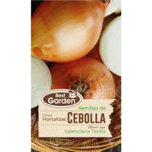 Semilla Cebolla Valenciana 3grs. - Best Garden