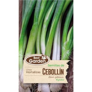 Semilla Cebollín 1grs. - Best Garden