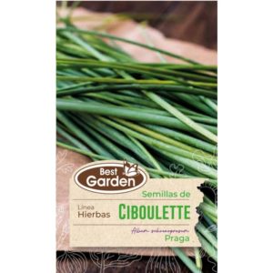 Semilla Ciboulette 2grs. - Best Garden