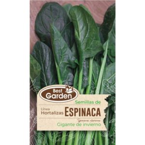 Semilla Espinaca 5grs. - Best Garden
