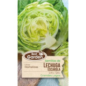Semilla Lechuga Escarola 4grs. - Best Garden