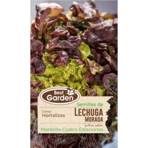 Semilla Lechuga Morada 5grs. - Best Garden