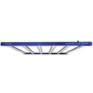 Panel Quantum Lite 720 W - Delight